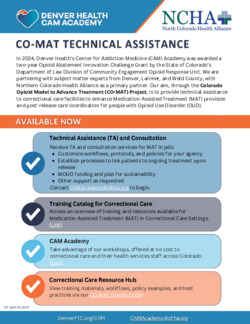 CAM Academy CO-MAT Correctional Care TA Offerings 4-19-24